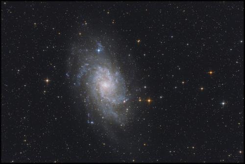 M33